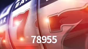 Explore as vantagens do 78955: serviço profissional e confiabilidade
